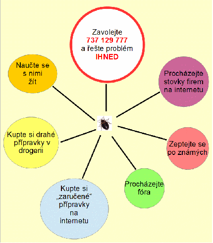 Možnosti řešení výskytu štěnic a doporučení kontaktovat odborníka