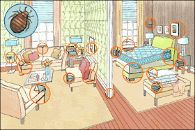 Ilustrace míst, kde se nejčastěji skrývají štěnice – postel, gauč, zásuvky, lišty, nábytek